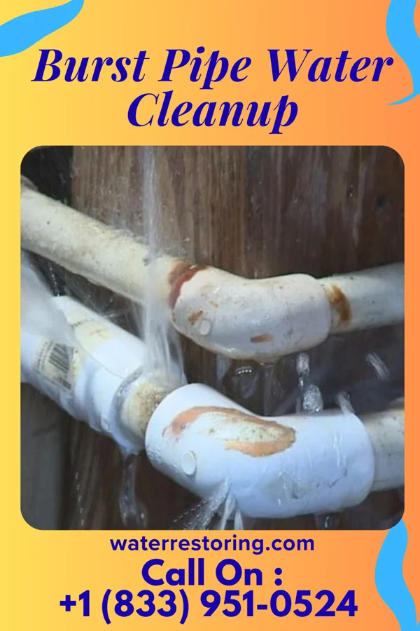 Burst Pipe Water Cleanup in Oro Valley, AZ